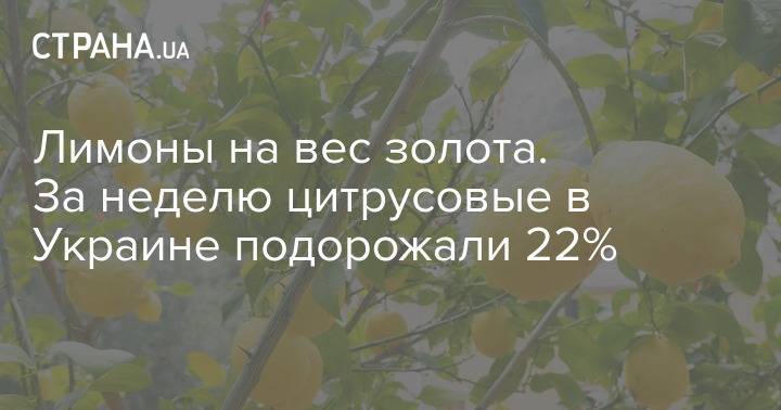 Лимоны на вес золота. За неделю цитрусовые в Украине подорожали 22%