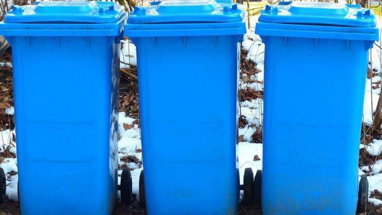 "Нужно прививать культуру": крымский химик о переработке пластика