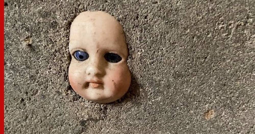 Американка нашла "голову" в подвале нового дома и поделилась снимком