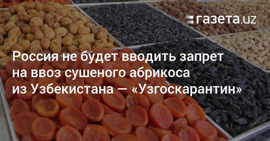 Россия не будет вводить запрет на ввоз сушеного абрикоса из Узбекистана — «Узгоскарантин»
