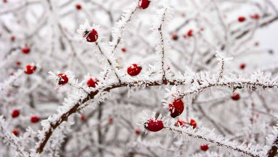 Прогноз погоды на 6 декабря: морозы держатся на севере и в центре Казахстана
