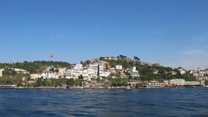 В Стамбуле на берег выбросило десятки тысяч крупных медуз