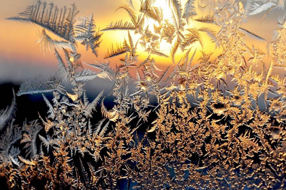 Морозно и солнечно: какой будет погода в Украине в начале рабочей недели
