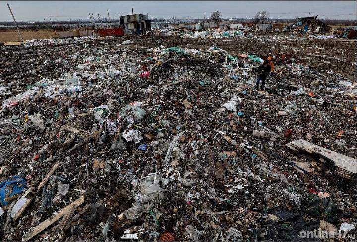 Опубликован законопроект о регулировании оборота отходов в Ленинградской области
