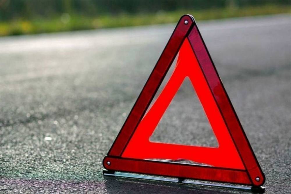 Псковича, сбившего дорожный знак, могут лишить водительских прав