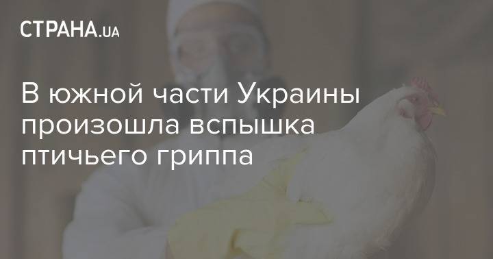 В южной части Украины произошла вспышка птичьего гриппа