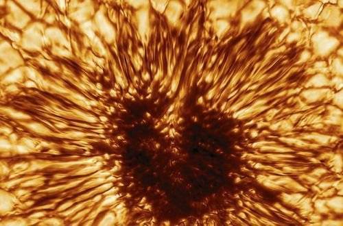 Астрономы получили самое четкое изображение пятен на Солнце. ВИДЕО