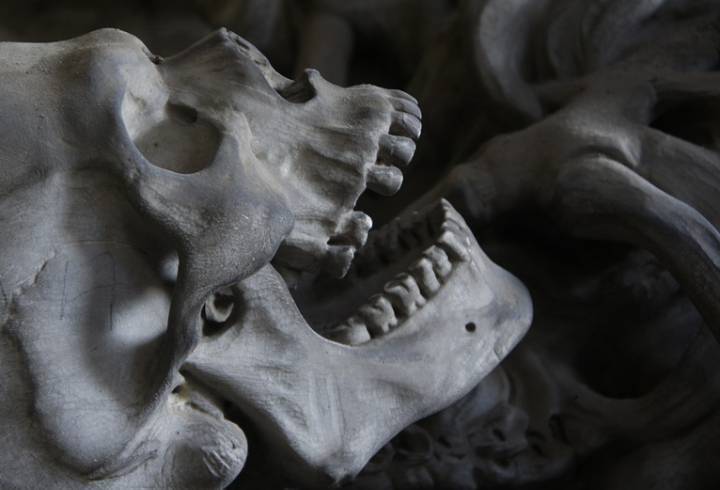 Человеческие кости нашли на берегу реки в Ленобласти
