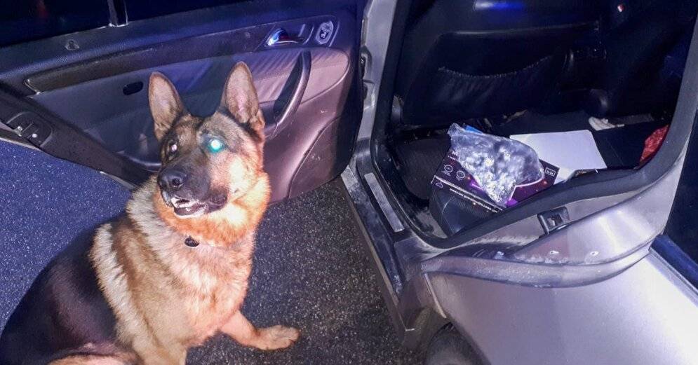 ФОТО. Полицейская собака обнаружила в машине наркотики