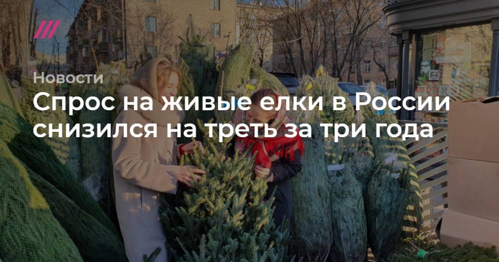 Спрос на живые елки в России снизился на треть за три года