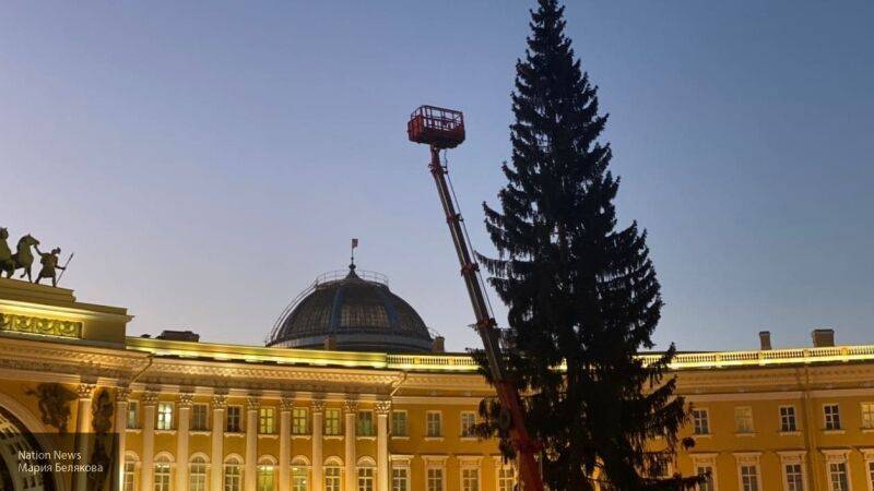 На Дворцовой площади установили главную петербургскую новогоднюю елку