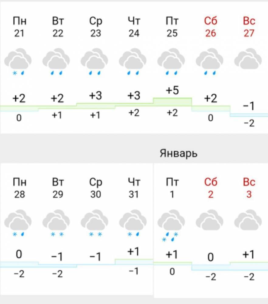 В новогоднюю ночь в Липецке обещают снег с дождем