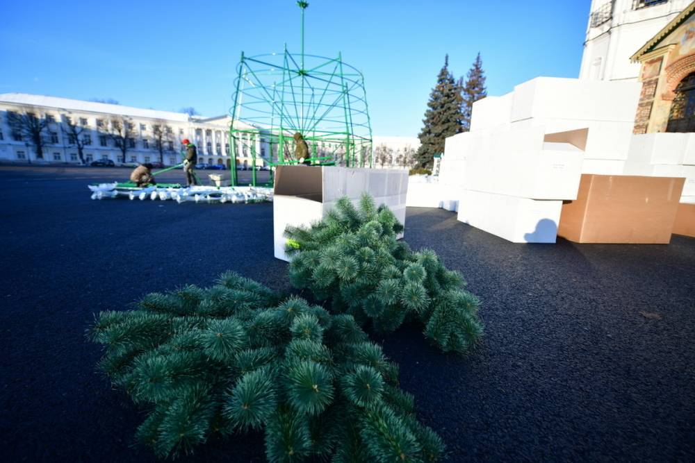 В Ярославле установили главную елку