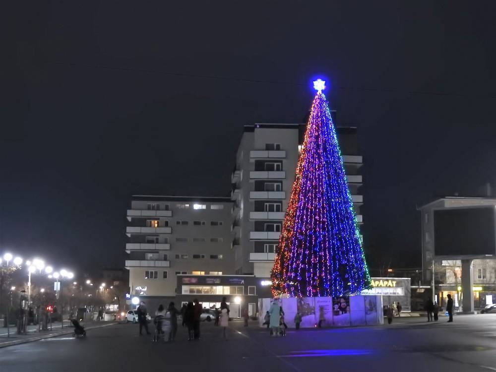 В Луге установили главную новогоднюю елку — фото