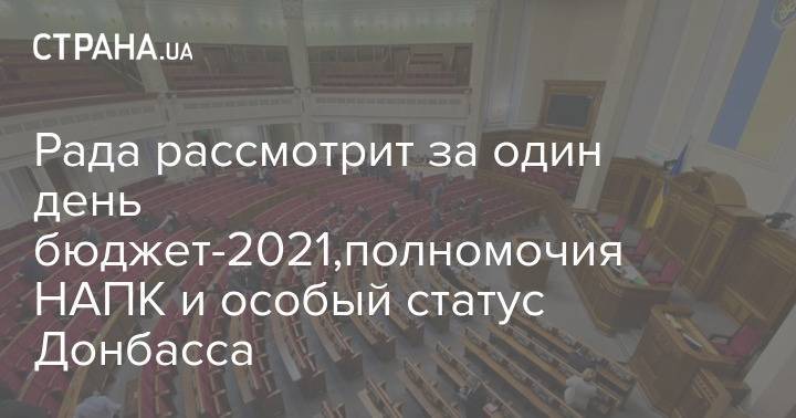 Рада рассмотрит за один день бюджет-2021,полномочия НАПК и особый статус Донбасса
