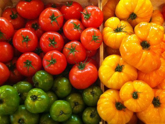 В Россию прекратят ввозить азербайджанские томаты и яблоки