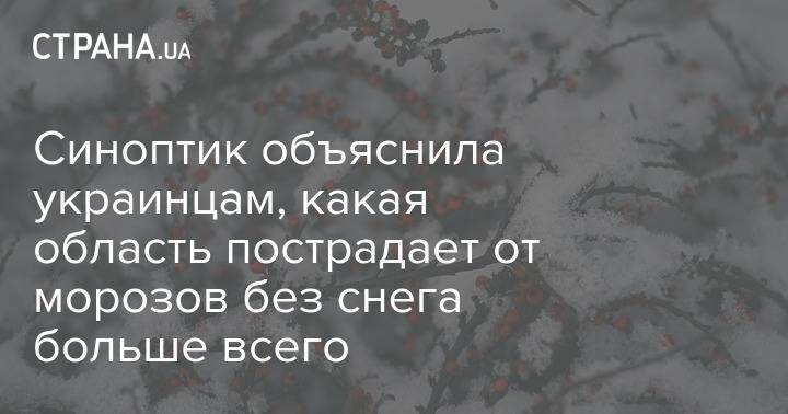 Синоптик объяснила украинцам, какая область пострадает от морозов без снега больше всего