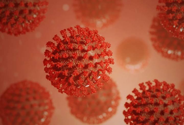 Иммунолог назвал простой способ снизить шанс заражения коронавирусом