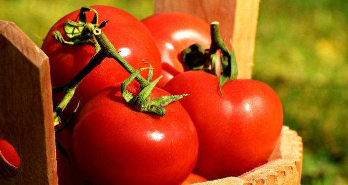 Россия запретила ввоз томатов и перцев из Армавирской области Армении