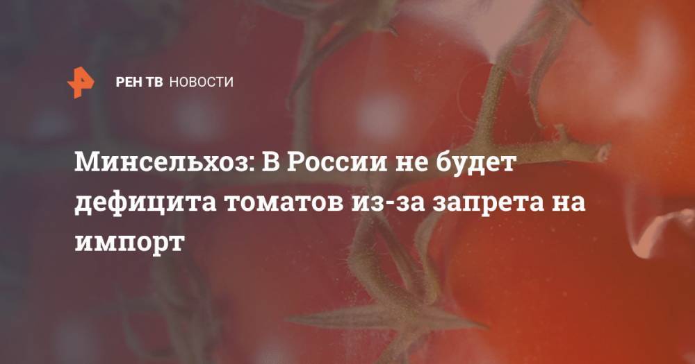 Минсельхоз: В России не будет дефицита томатов из-за запрета на импорт