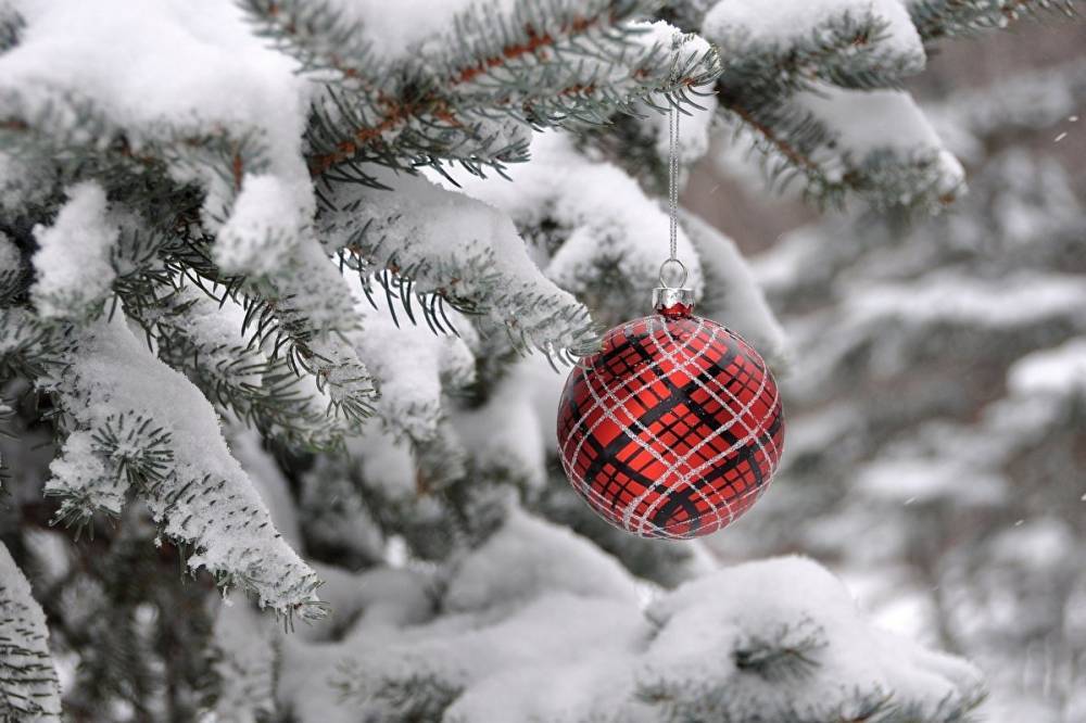 Настоящая снежная зима: синоптики рассказали о погоде в Украине в День святого Николая