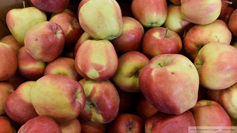 Запрет томатов и яблок из Азербайджана не скажется на российском рынке