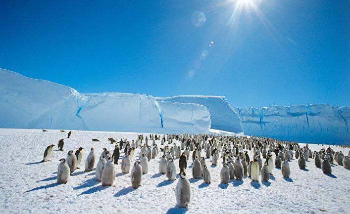 Новый континент на горизонте: 200 лет назад открыли Антарктиду (Videnskab, Дания)