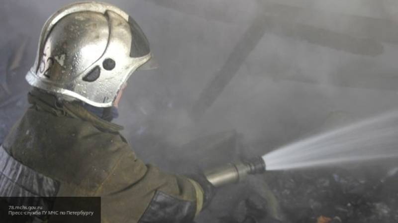 Пожарные потушили полыхающий банный комплекс на северо-западе Москвы