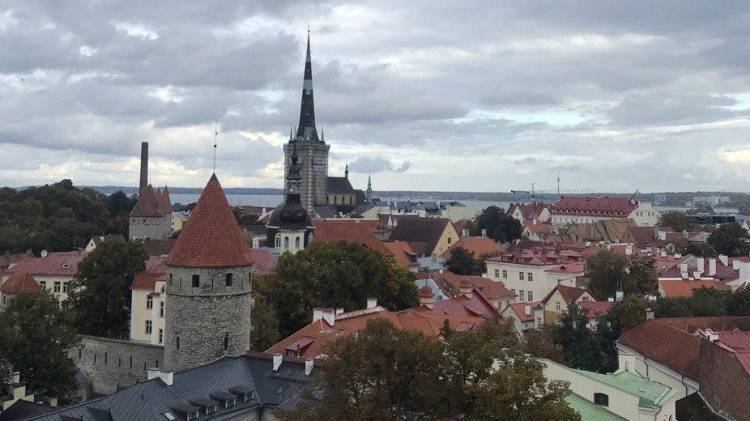 Посольство РФ предупредило россиян о сильном шторме в Эстонии