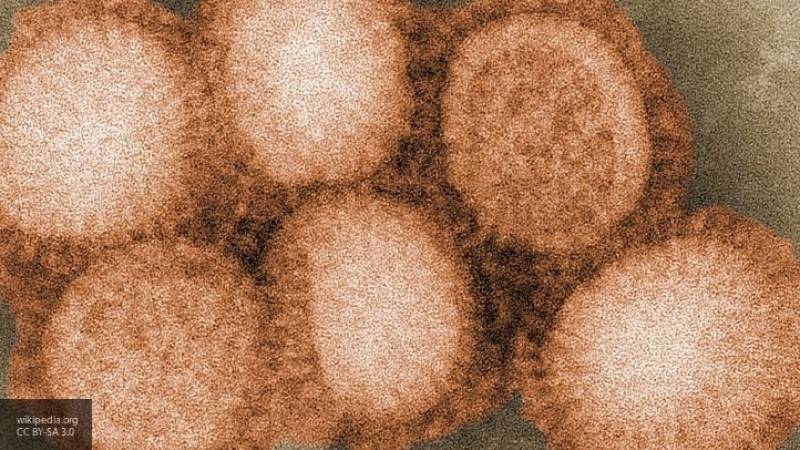 Вспышка птичьего гриппа зафиксирована на юго-западе Китая
