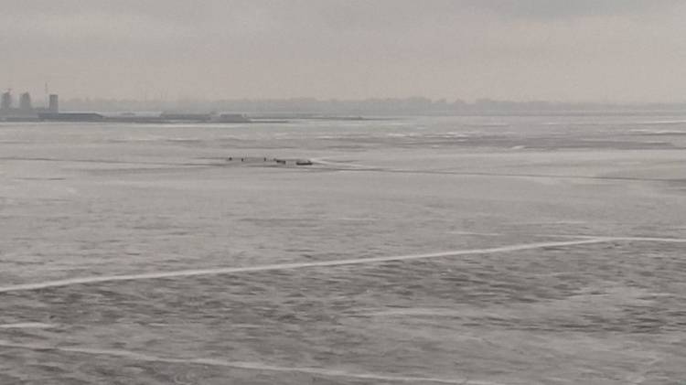 Спасатели сняли рыбаков со льда на Финском заливе в Петербурге