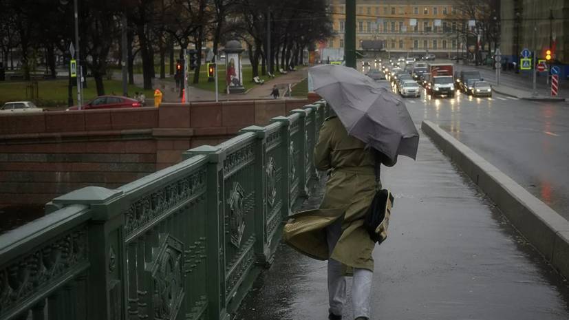 МЧС предупредило о шторме и дожде в Петербурге