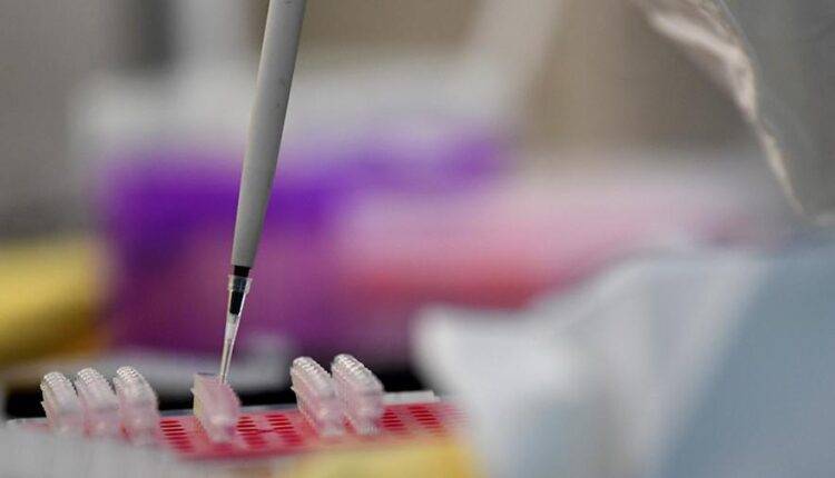 Сингапурские ученые назвали сроки тестирования вакцины от нового коронавируса