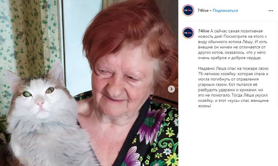 Челябинский кот спас хозяйку от смерти во время пожара