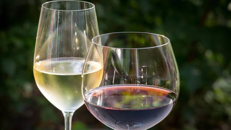 Нарколог назвал пиво и вино самыми опасными напитками для алкоголизма у женщин