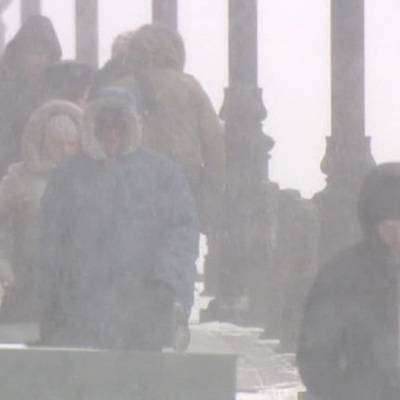 Снег и сильный ветер принес циклон на Камчатку