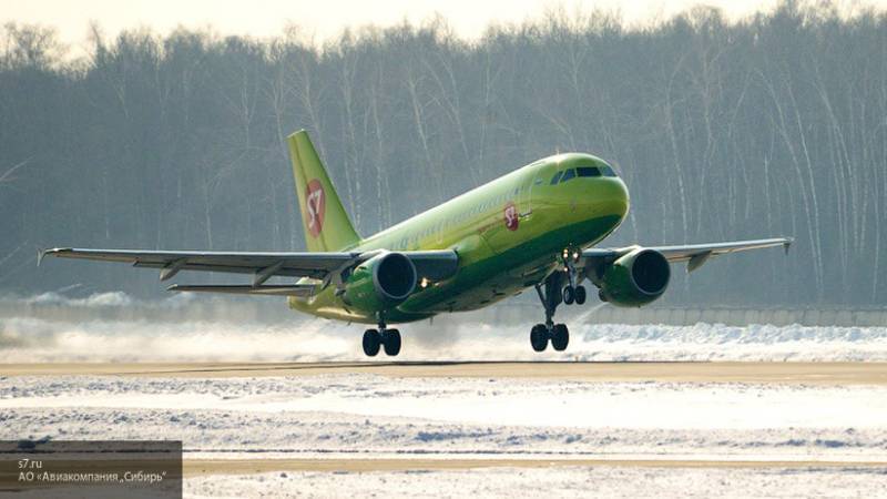 Вылетевший в Москву самолет вернулся в Новосибирск из-за технических проблем