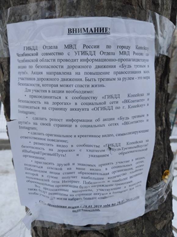 В Копейске неизвестные расклеили на деревьях рекламу страниц ГИБДД в соцсетях