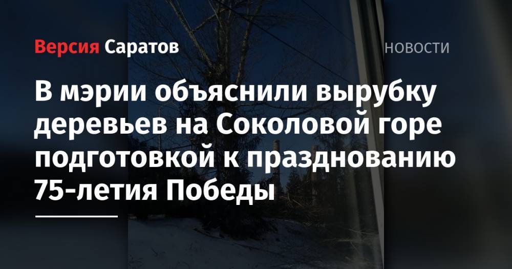 В мэрии объяснили вырубку деревьев на Соколовой горе подготовкой к празднованию 75-летия Победы