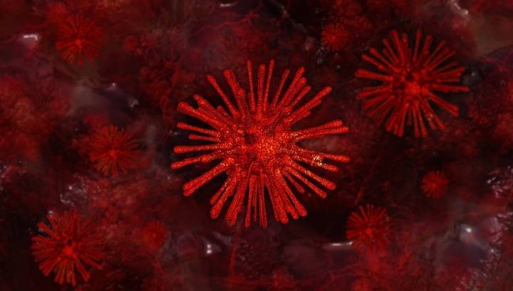 Чужой: найден вирус с ДНК, незнакомой остальным формам жизни