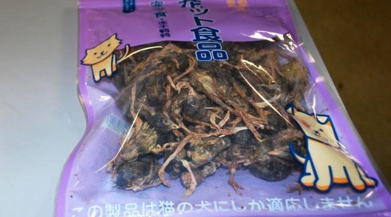 В аэропорту США у путешественника из Китая нашли пакет с мертвыми птицами (фото)