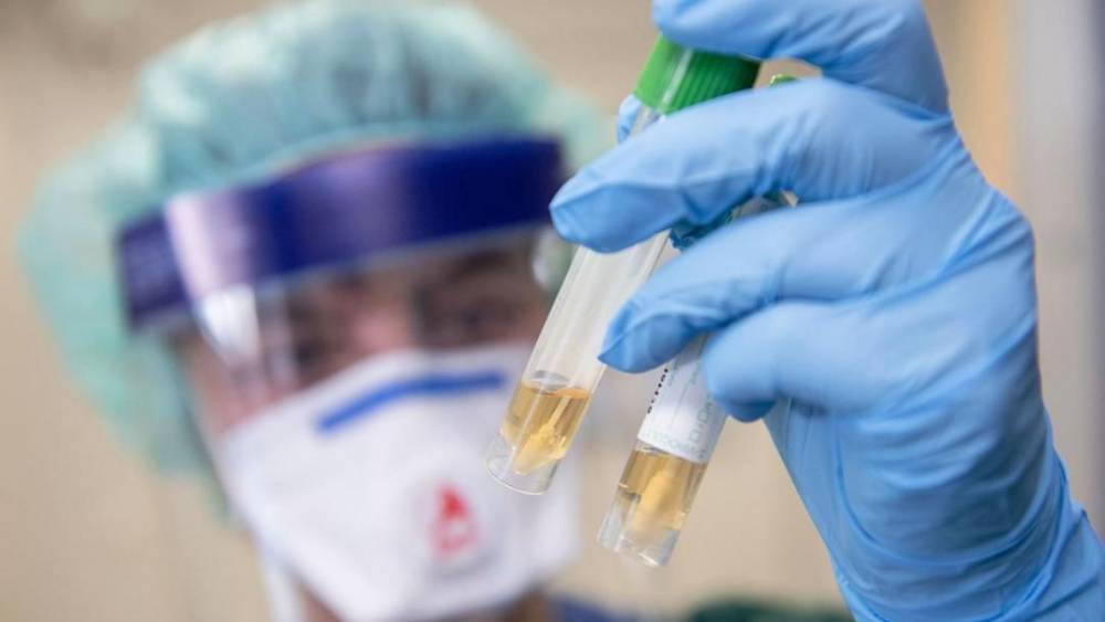 ВОЗ ожидает появление первой вакцины от коронавируса через полтора года