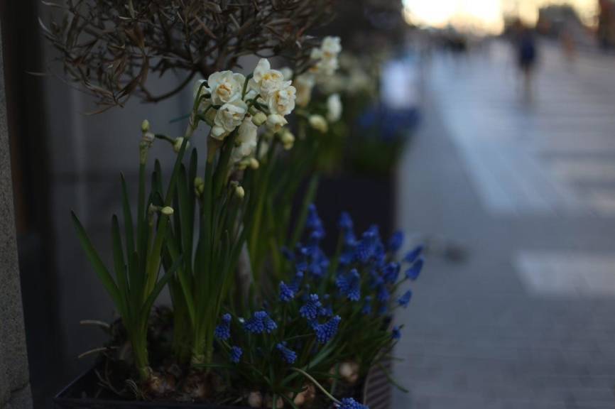 Росгидромет заявил о ранней весне в европейской части страны