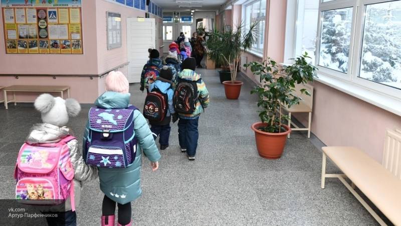 Школы Нижнего Новгорода закроются на карантин из-за гриппа