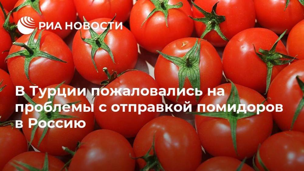 В Турции пожаловались на проблемы с отправкой помидоров в Россию - ria.ru - Россия - Анкара