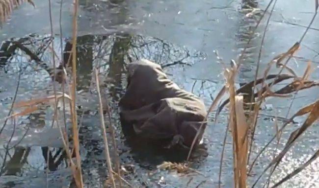 Под Киевом спасатели вытащили из реки живого пса, которого утопили в мешке