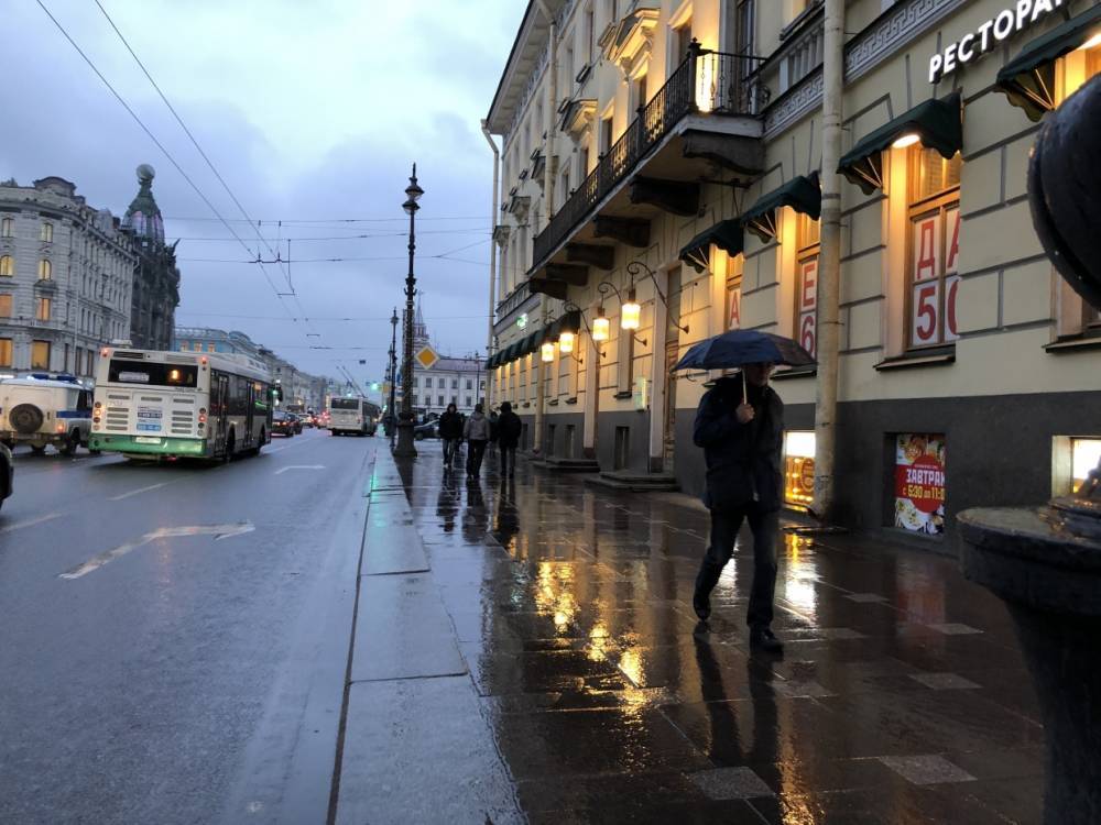 12 февраля Петербург останется под властью дождливого и ветреного циклона