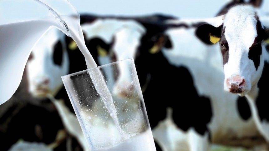 Диетолог развенчал миф о вреде молока
