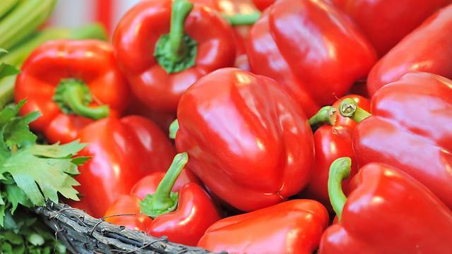 Сеть "Рами Леви" закупает дешевые перцы и огурцы за границей вместо израильских овощей
