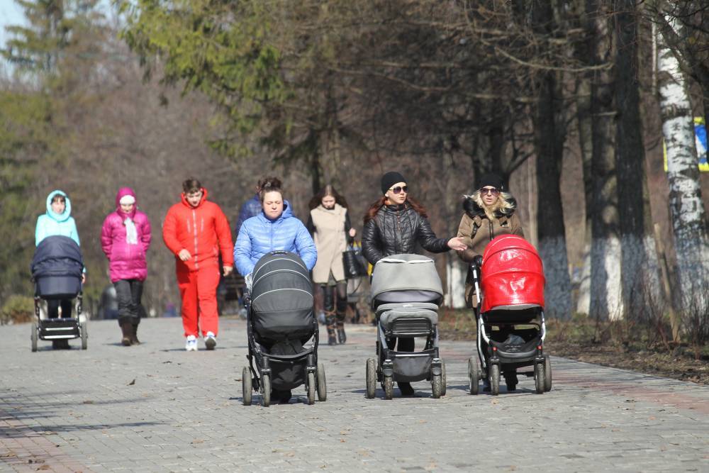 Процедуру получения маткапитала и соцвыплат на детей в России упростят